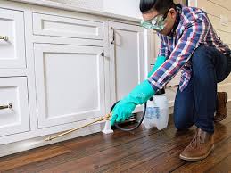 Best Residential Pest Control  in Dunsmuir, CA